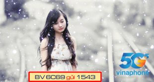 Cách đăng ký gói cước 6C69 Vinaphone nhận ưu đãi gọi thả ga trong nửa năm