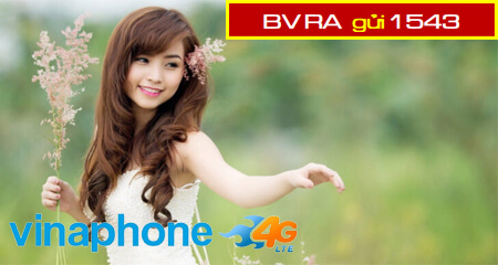 Gói cước RA Vinaphone- 2GB Data Roaming tại khu vực Đông Nam Á