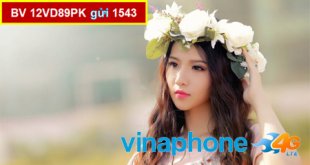Chi tiết về gói cước 12VD89PK Vinaphone nhận ưu đãi lớn data, phút gọi miễn phí sử dụng đến 14 tháng