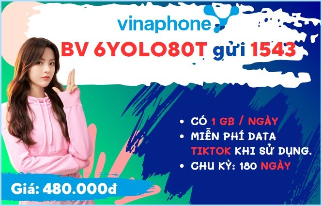 Đăng ký gói cước 6YOLO80T Vinaphone online và dùng MyTV, Tiktok nửa năm